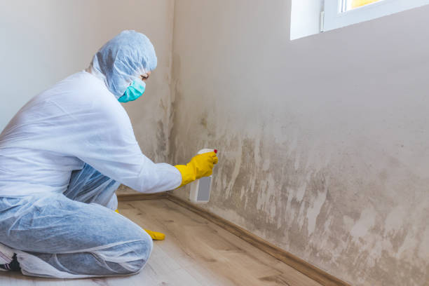 Hvac And Air Duct Mold Remediation inspection of HVAC system in Aquasco